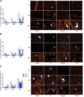 Modification of polypropylene mesh by titanium compound: An in Vivo and in Vitro study